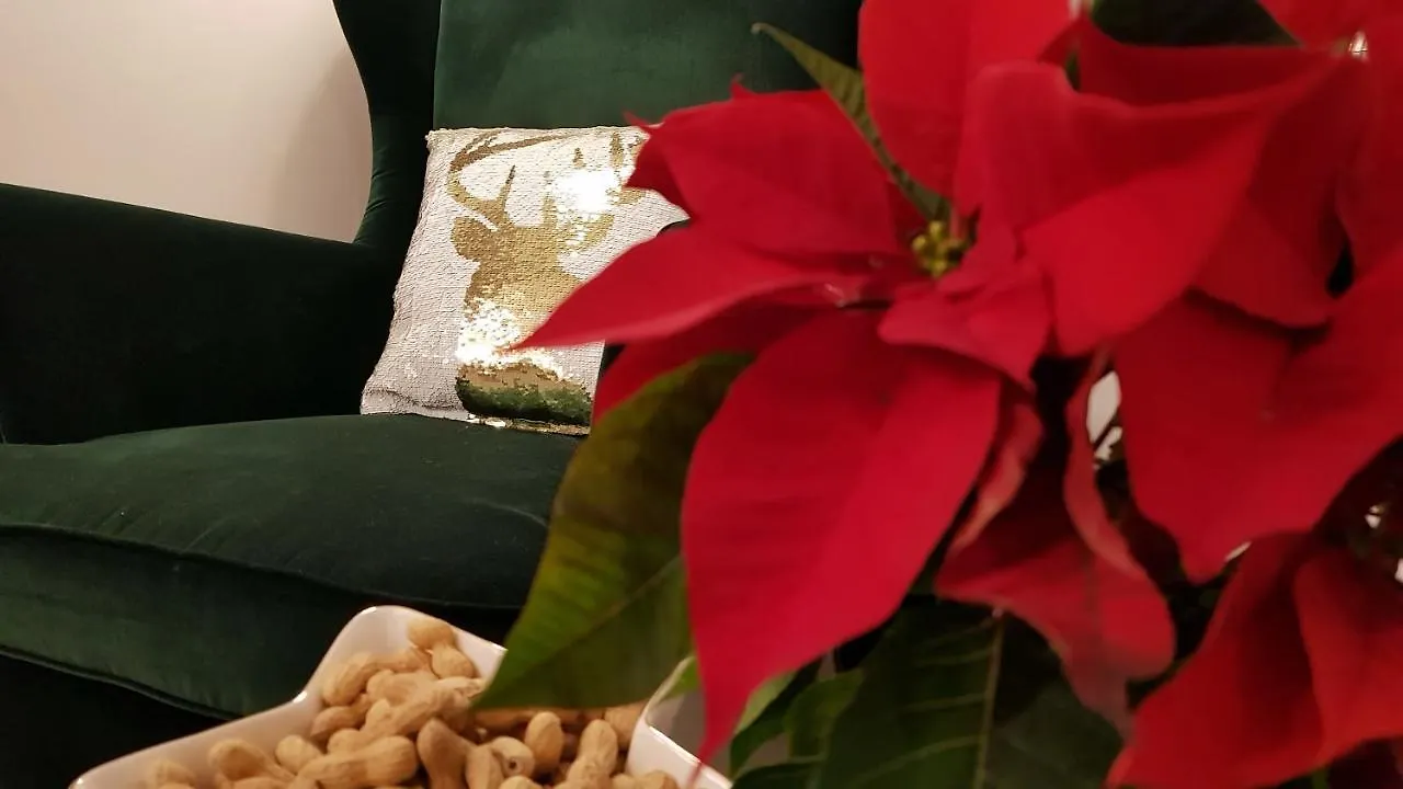 *** Hotel The Little Guesthouse Salisburgo Austria